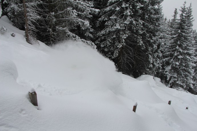 Ibland försvann en del i snön – vi hittade dock alla igen och fick med dem hem...