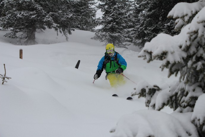 Fantastiska snö-hang med träd som var täckta av fjäderlätt pudersnö.