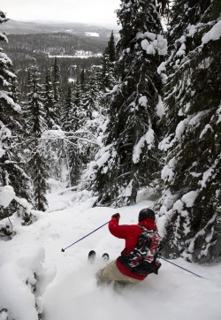 Destination funäsdalen döps om till Funäsfjällen