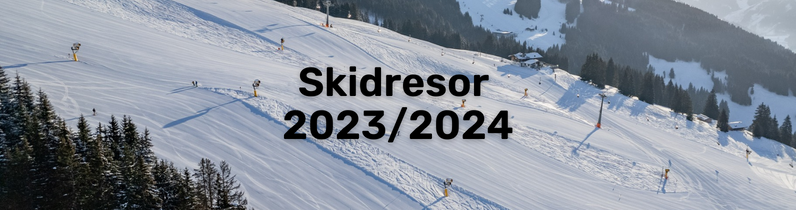 Skidsemester 2024: Boka tidigt och hitta de bästa erbjudandena (översikt)